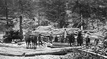 lumber3.jpg (18547 bytes)